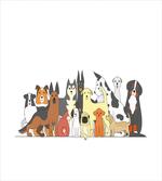 Husky and Jack Russel Terrier