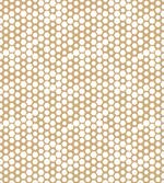 Geometry Hexagon Motifs
