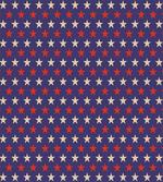 Vintage Patriotic Colors