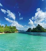 Botanic Sea Mountain