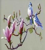 Waxwing Sparrow Bird