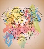 Vibrant Colored Line Art