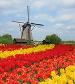 Northern Europe Garden