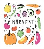 Drawing Fresh Food