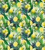 Exotic Plants Green Leaf