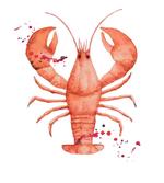 Fresh Organic Seafood