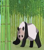 Panda Bamboo