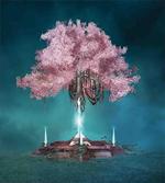 Pink Blossom Art
