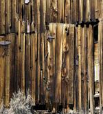Oak Barn Timber Door