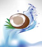 Broken Coconut and Leaves