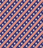 Patriot Star