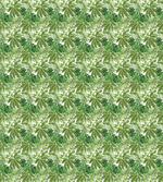 Exotic Vegetation