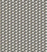 Big Little Abstract Stars