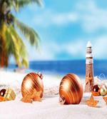 Exotic Noel at Coast artwork