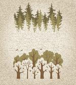 Summer Season Trees