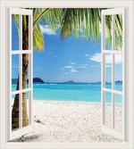 White Wooden Windows