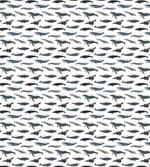 Type of Fish Grey Fin Killer