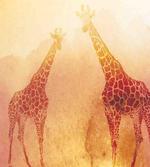 Tropic Giraffes