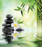 Bamboo Japanese Relax