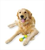 Pet Dog Toy