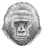 Wild Animal Portrait