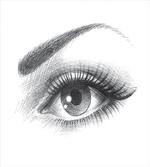 Pencil Drawing Style Art
