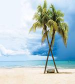 Beach Palm Trees Rock artwork