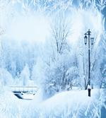 Wonderland Xmas Holiday
