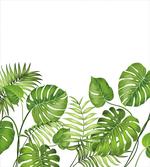 Foliage Swirls Botanic