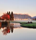 Idyllic Countryside View