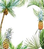 Exotic Palm Trees