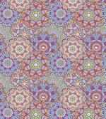 Colorful Mandala Paisley