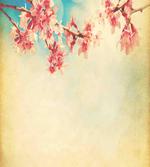 Spring Sakura Vintage