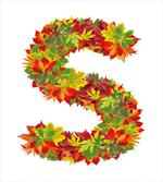Vivid Growth Capital S