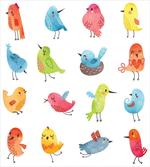 Colorful Humor Bird