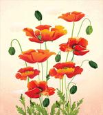 Flower Bouquet Arrangement