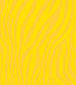Animal Skin Lines