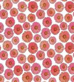 Pink Bloom Field Flourish