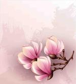 Fragile Flower Petals