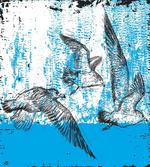 Seagull Grunge Doodle