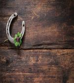 Rusty Horseshoe on Wooden