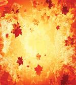 Abstract Grunge Maple Leaves