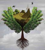 Fractal Trees