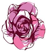 Rose Petal