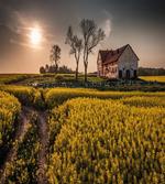 Old Rural House