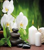 Romantic Zen Stone Orchids