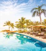 Resting Under Palms artwork
