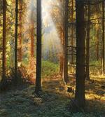 Sunset Dark Pine Trees