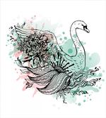 Sketchy Swan Watercolors artwork