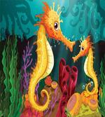 Seahorse Habitat